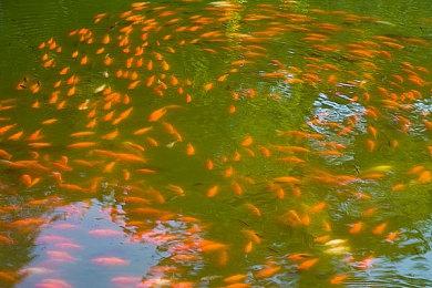 再创新高！2024年Steam共发布了近1.9万款游戏