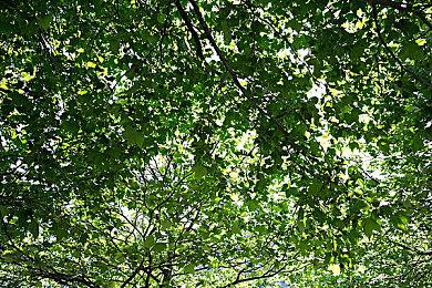 黑曜石表示在被微软收购前曾拒绝了一项收购提议