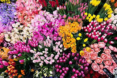 SE发布 《美妙世界》与《新美妙世界》周年官方贺图